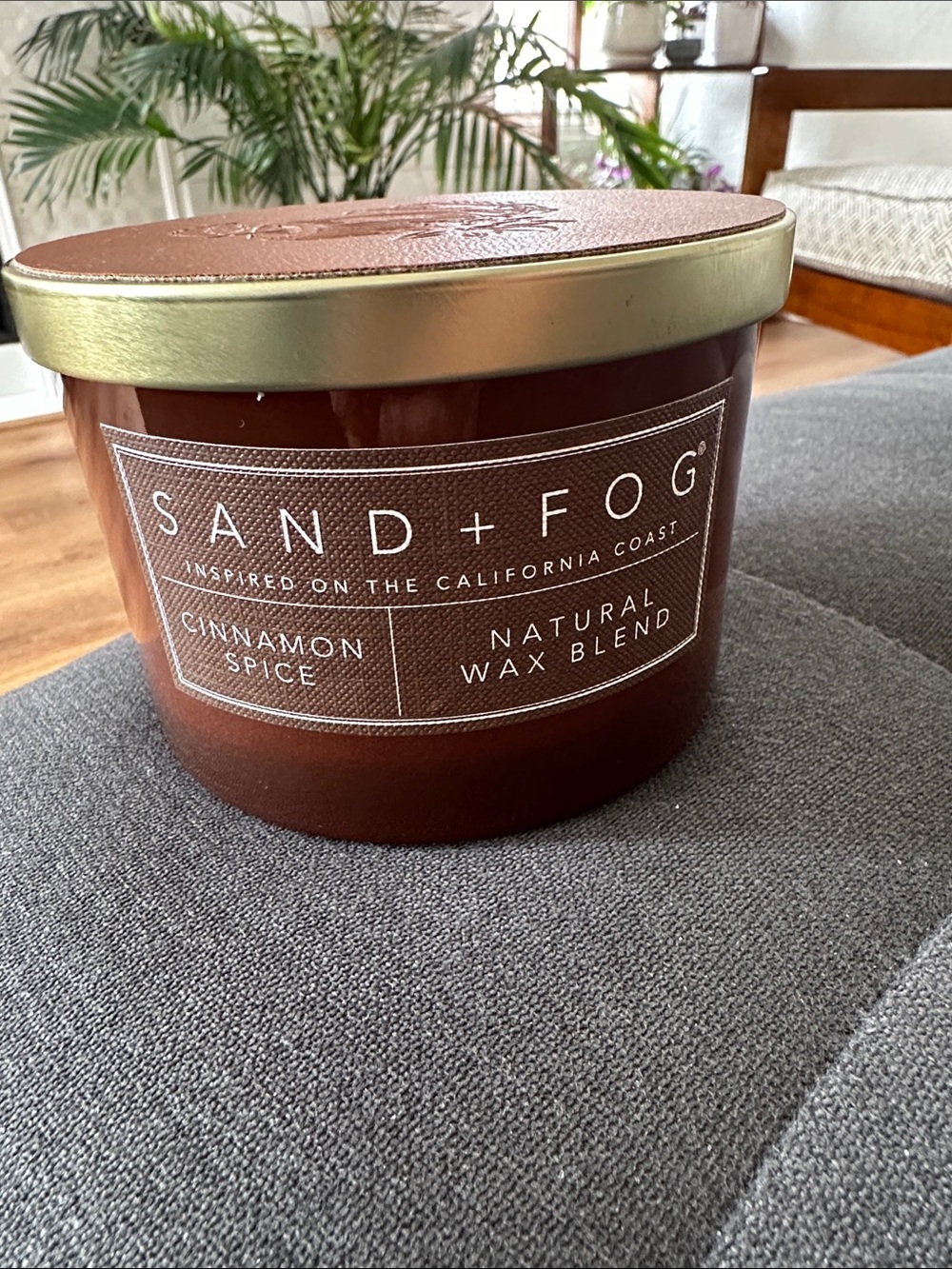 🆕 Sand + Fog Cinnamon Spice 2 Wick 12 Oz Scented Candle